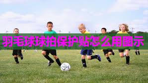 羽毛球球拍保护贴怎么用图示