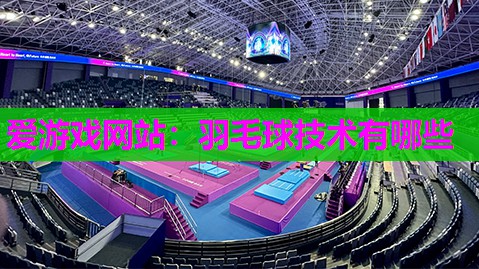 羽毛球技术有哪些
