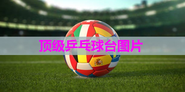 顶级乒乓球台图片