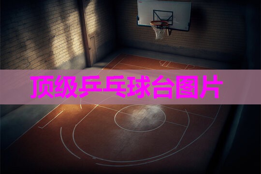 顶级乒乓球台图片