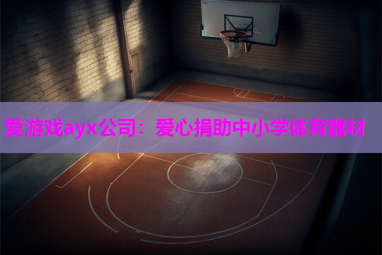 爱心捐助中小学体育器材