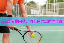 羽毛球男单世界排面