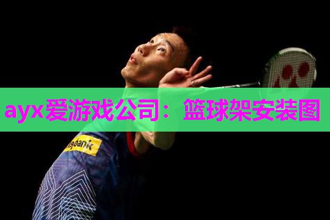 篮球架安装图